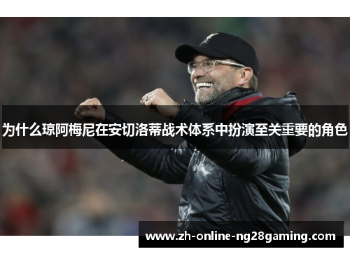 为什么琼阿梅尼在安切洛蒂战术体系中扮演至关重要的角色