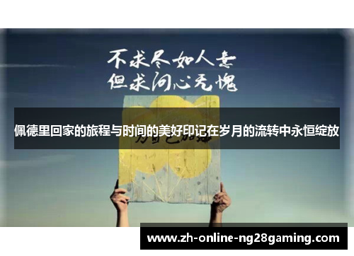佩德里回家的旅程与时间的美好印记在岁月的流转中永恒绽放