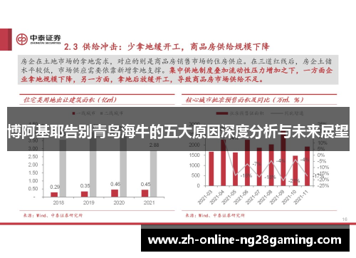 博阿基耶告别青岛海牛的五大原因深度分析与未来展望