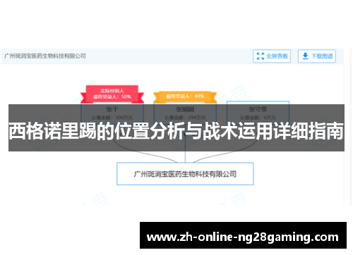 西格诺里踢的位置分析与战术运用详细指南