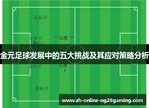 金元足球发展中的五大挑战及其应对策略分析 金元足球发展中的五大挑战及其应对策略分析