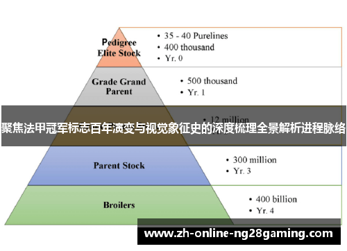 聚焦法甲冠军标志百年演变与视觉象征史的深度梳理全景解析进程脉络 聚焦法甲冠军标志百年演变与视觉象征史的深度梳理全景解析进程脉络