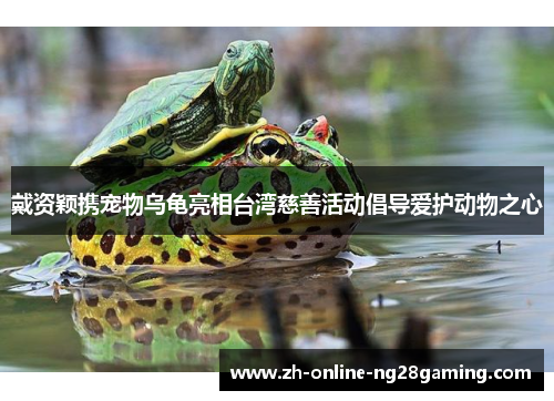 戴资颖携宠物乌龟亮相台湾慈善活动倡导爱护动物之心 戴资颖携宠物乌龟亮相台湾慈善活动倡导爱护动物之心