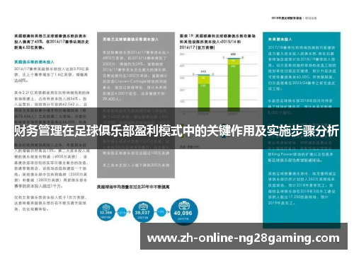 财务管理在足球俱乐部盈利模式中的关键作用及实施步骤分析