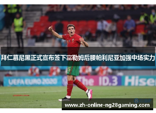 拜仁慕尼黑正式宣布签下富勒姆后腰帕利尼亚加强中场实力 拜仁慕尼黑正式宣布签下富勒姆后腰帕利尼亚加强中场实力