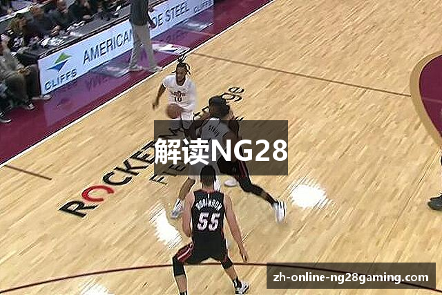解读NG28